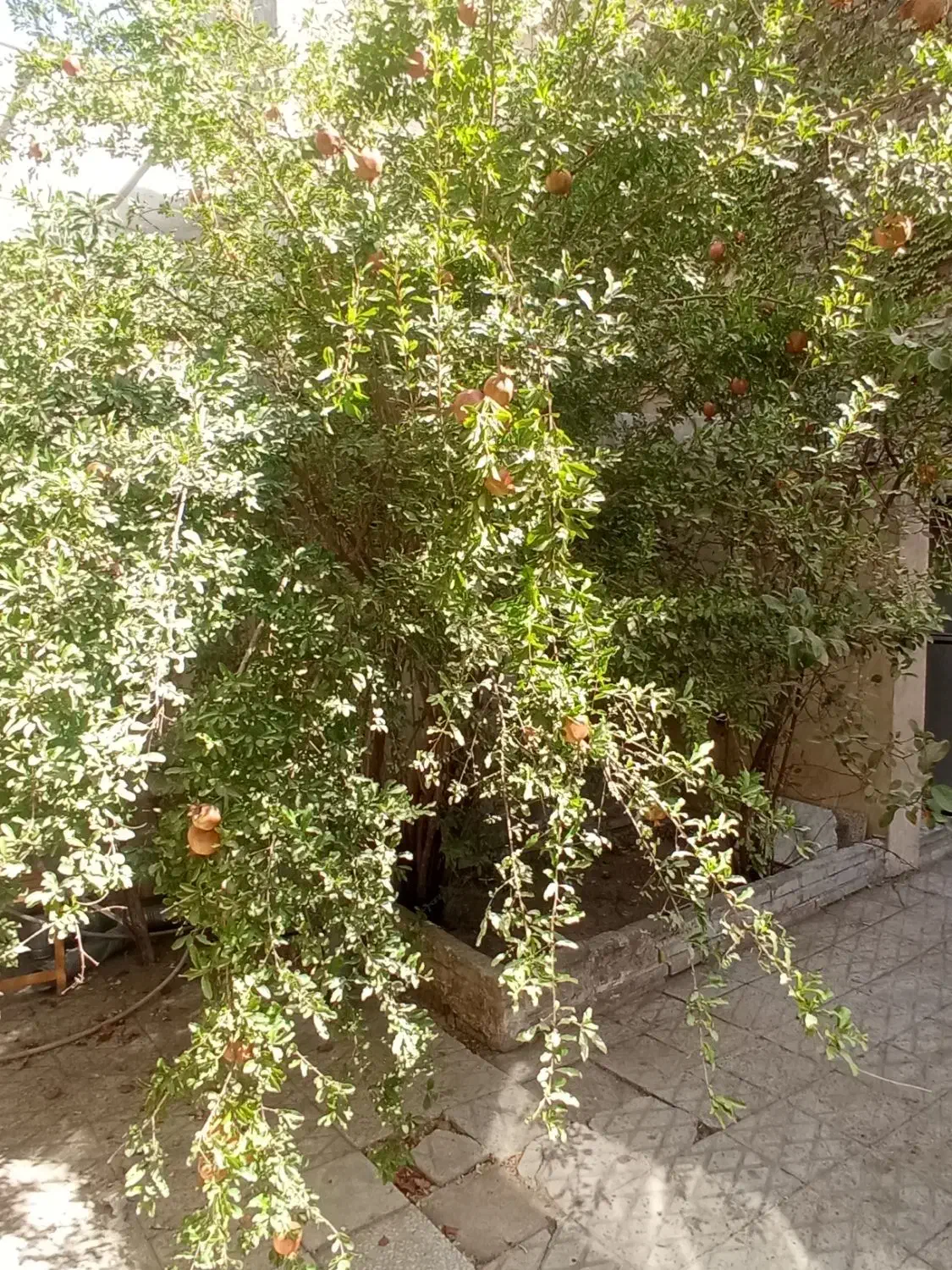 اجاره انبار خانی آباد نو|اجارهٔ مغازه و غرفه|تهران, خانی آباد نو شمالی|دیوار