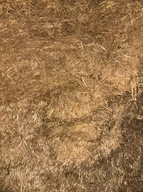 کاه گندم کوفته|لوازم جانبی حیوانات|مرودشت, تخت جمشید|دیوار