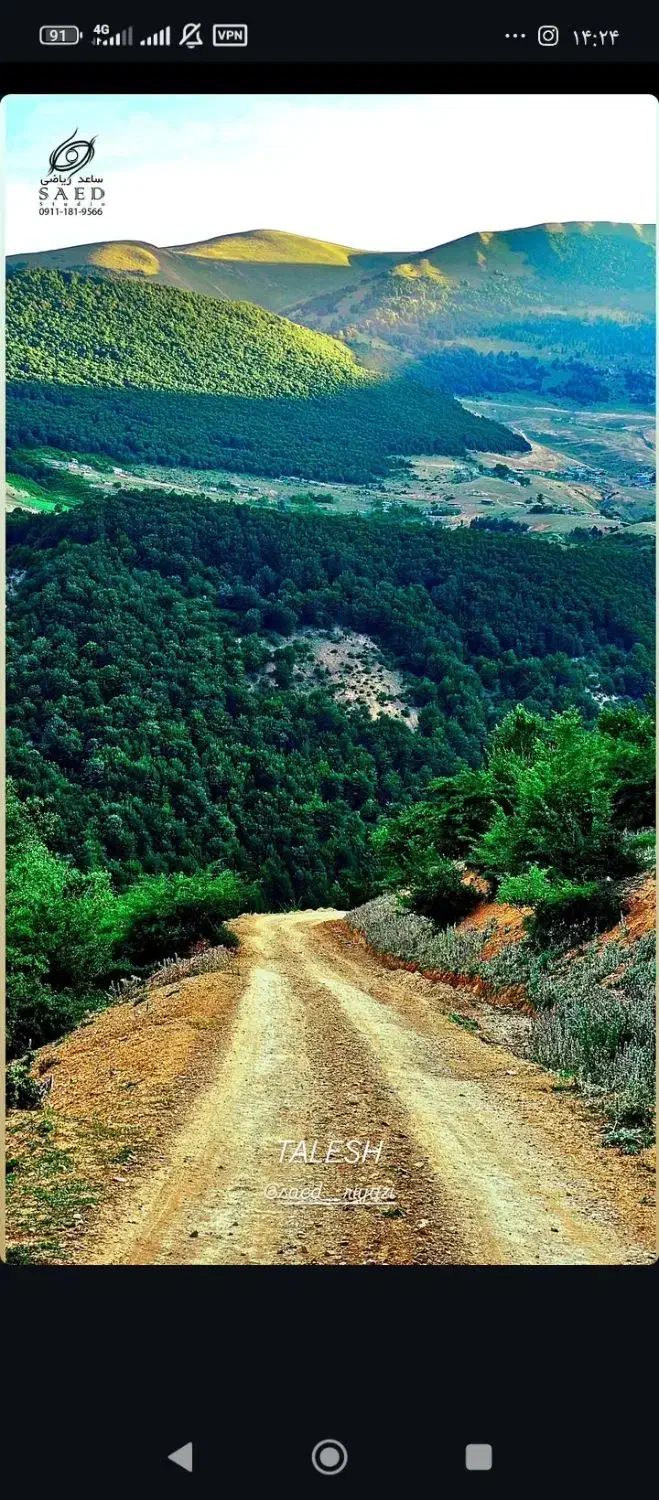 همسفر طبعیت گرد|فعالیت داوطلبانه|رشت, کوی مهر|دیوار