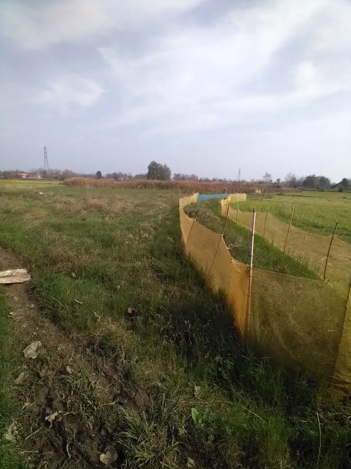 ۵هزارمترزمین کشاورزی سنتی باجاده ۶متری|فروش دفتر صنعتی، کشاورزی، تجاری|کوچصفهان, |دیوار