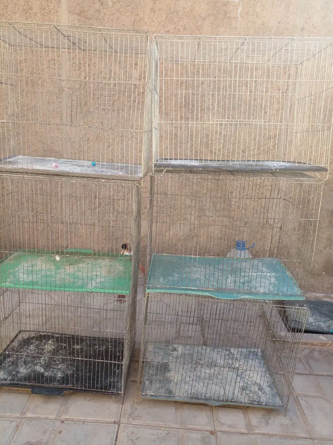 پرنده. قفس معمولی و جوجه پران|لوازم جانبی حیوانات|رفسنجان, |دیوار