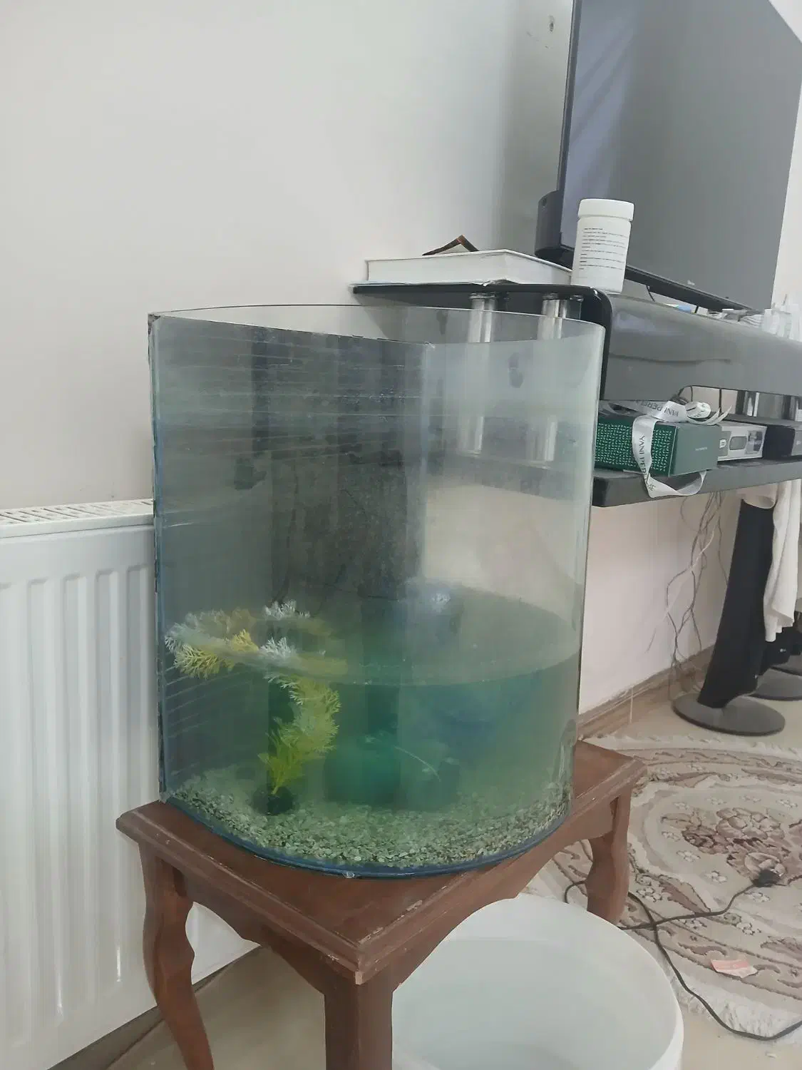 اکواریوم با سه عدد ماهی و غذای ماهی|ماهی|گلبهار, شهر جدید گلبهار|دیوار