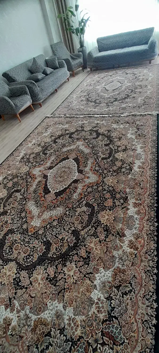 فرش ۷۰۰شانه|فرش|قروه, |دیوار