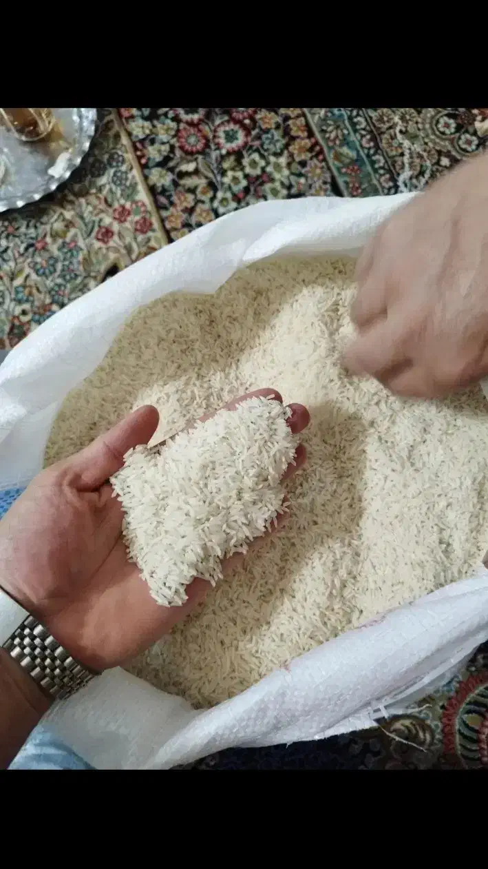 فروش عمده برنج هاشمی و دوم سیاه|عمدهفروشی|درگز, |دیوار