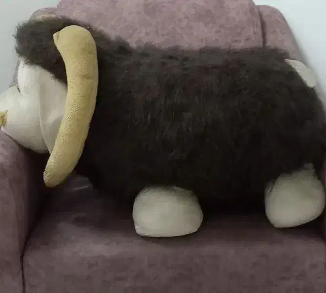 عروسک قوچ|اسباب‌‌بازی|قم, شهرک مهدیه (مدرس)|دیوار