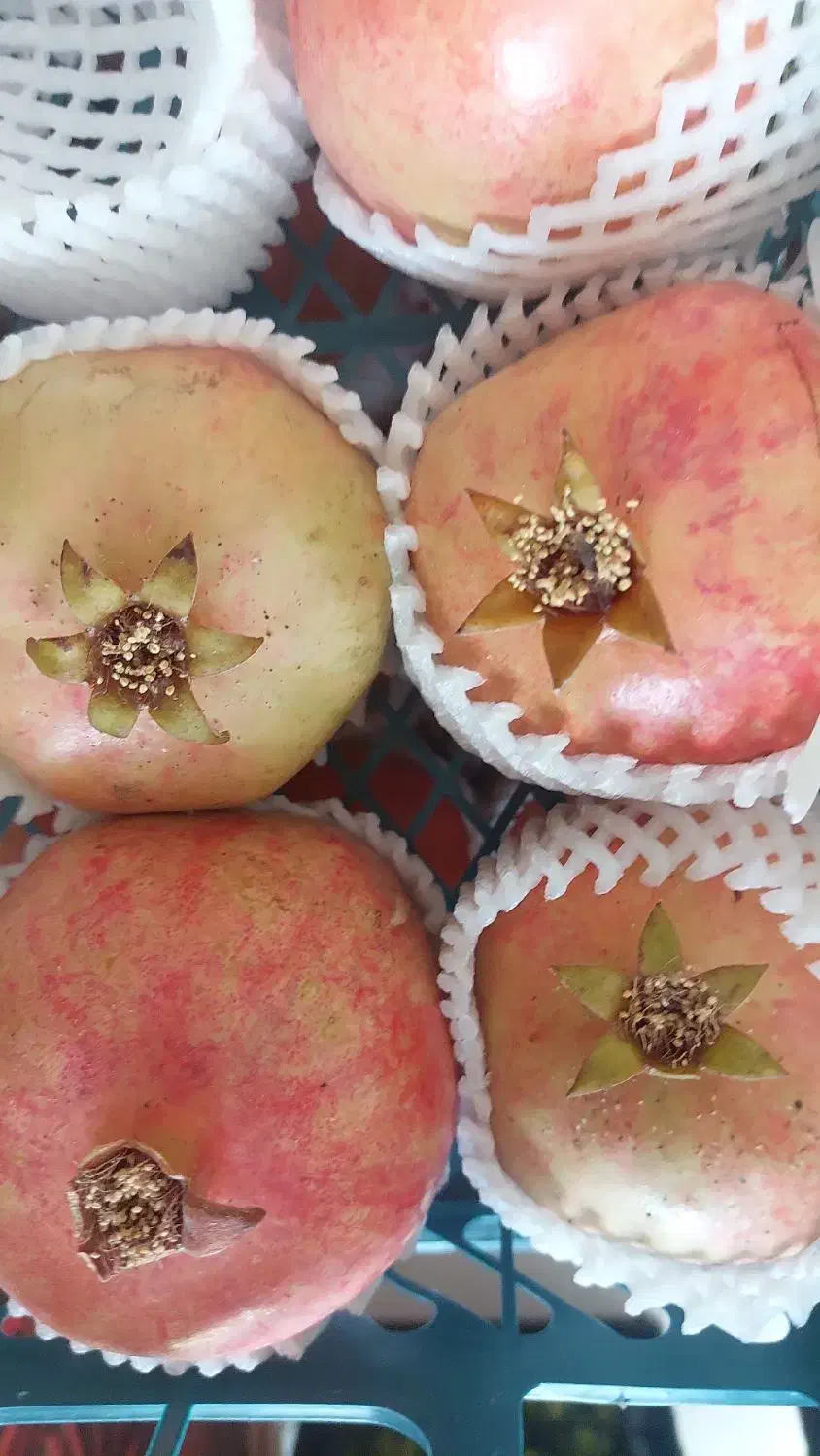 فروشنده میوه فروشی|استخدام بازاریابی و فروش|بندر کنگان, |دیوار