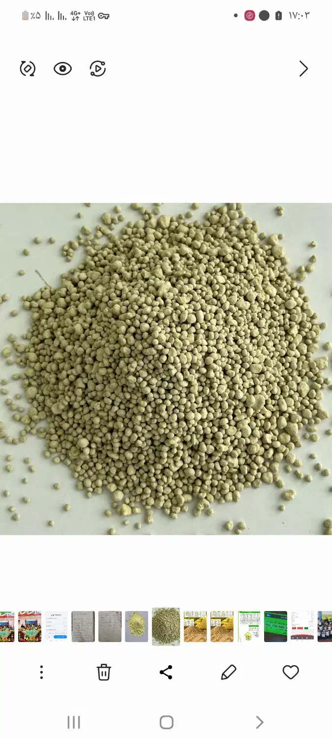 کود|لوازم جانبی حیوانات|اردبیل, |دیوار