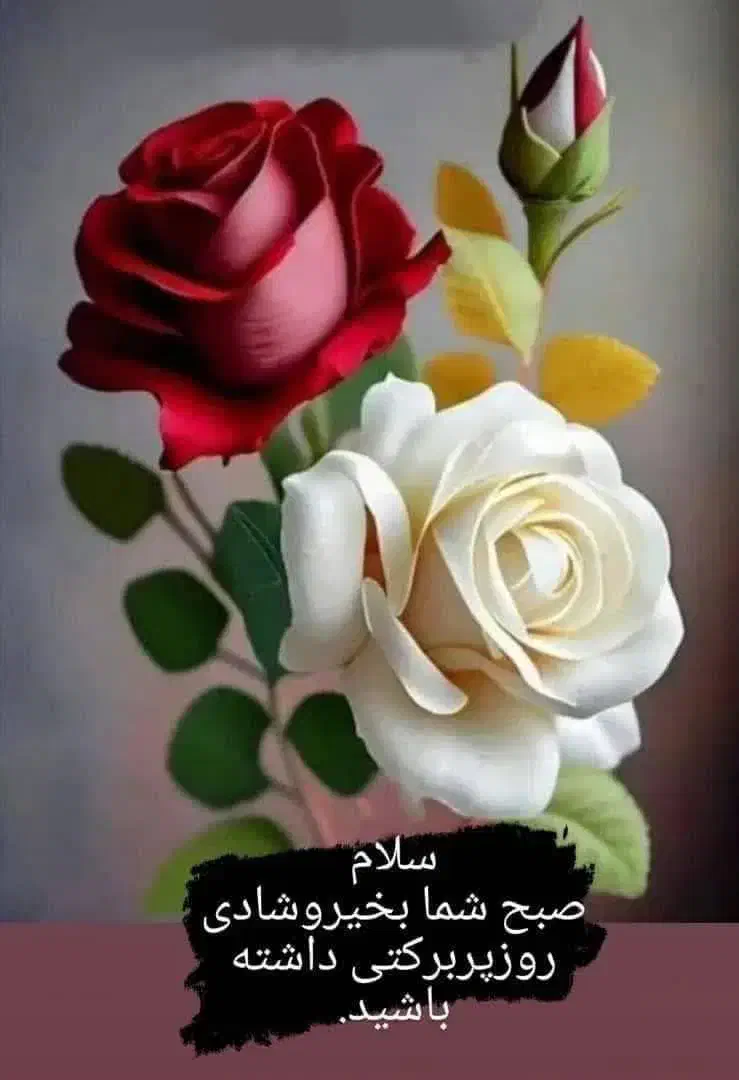 همکاری در مشاور املاک|استخدام رایانه و فناوری اطلاعات|تبریز, |دیوار