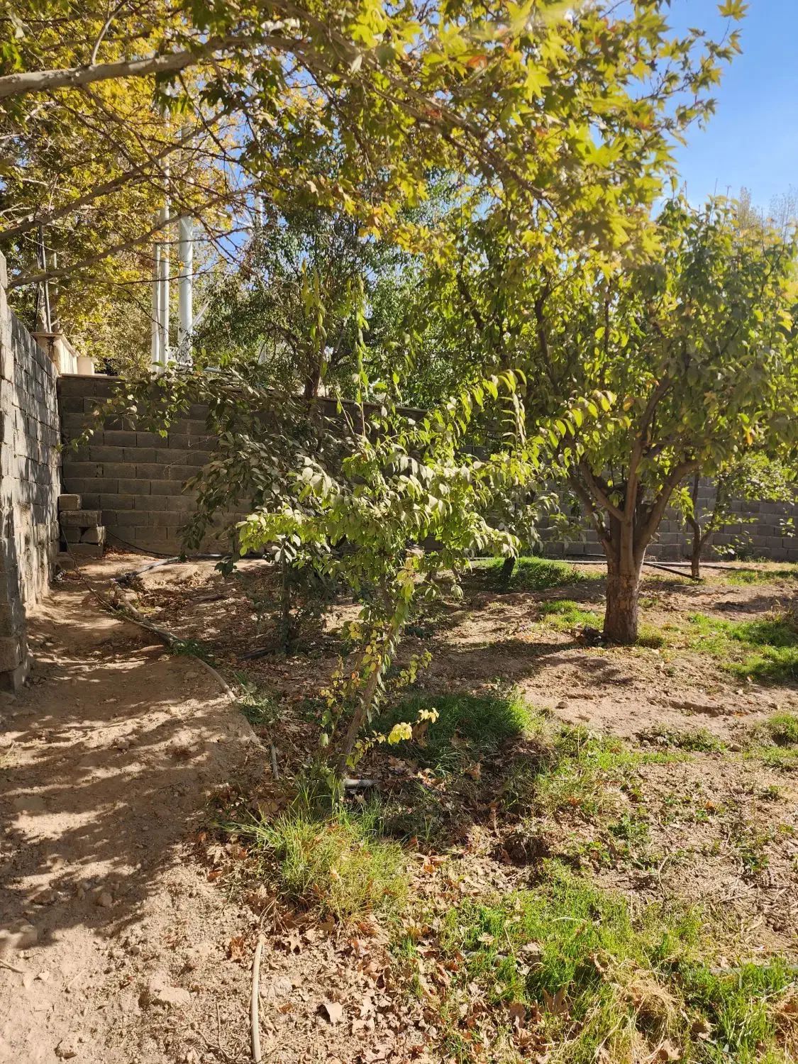 ویلا ۱۳۰۰ متر ۱۱۰ متر بنا کردان کوهسار  شهرکی|فروش خانه و ویلا|کوهسار (البرز), |دیوار