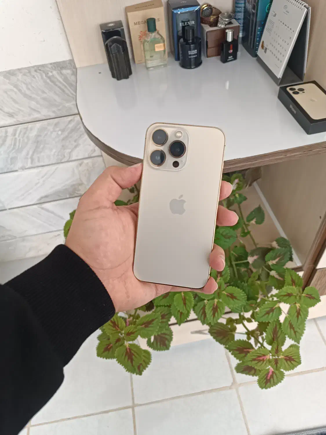 iphone 13 pro|موبایل|نجفآباد, سعدی|دیوار