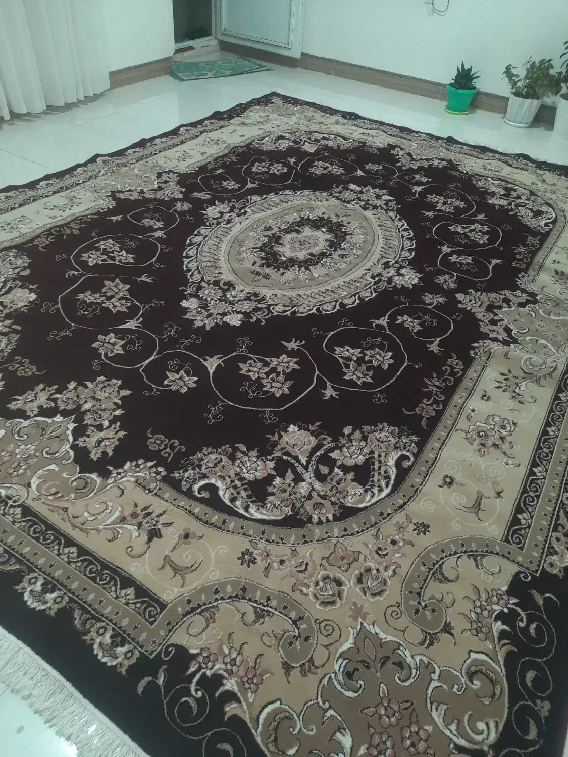 دو تخته فرش ۱۲متری|فرش|کارزان, |دیوار