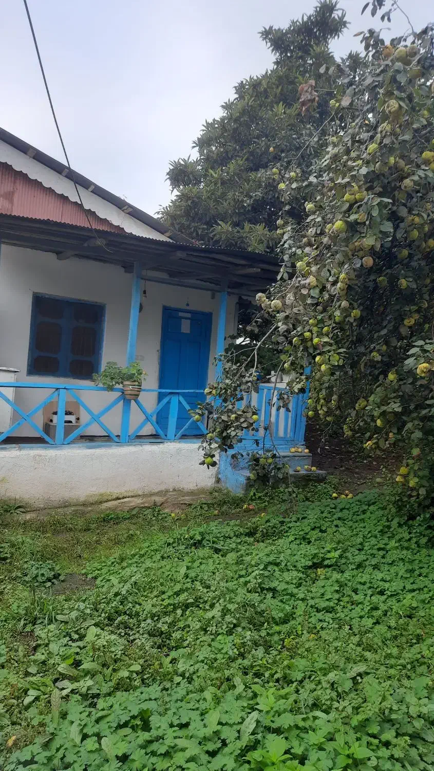 مجموعه اقامتگاه در حلیمه جان با کلیه امکانات|اجارهٔ کوتاهمدت ویلا و باغ|توتکابن, |دیوار