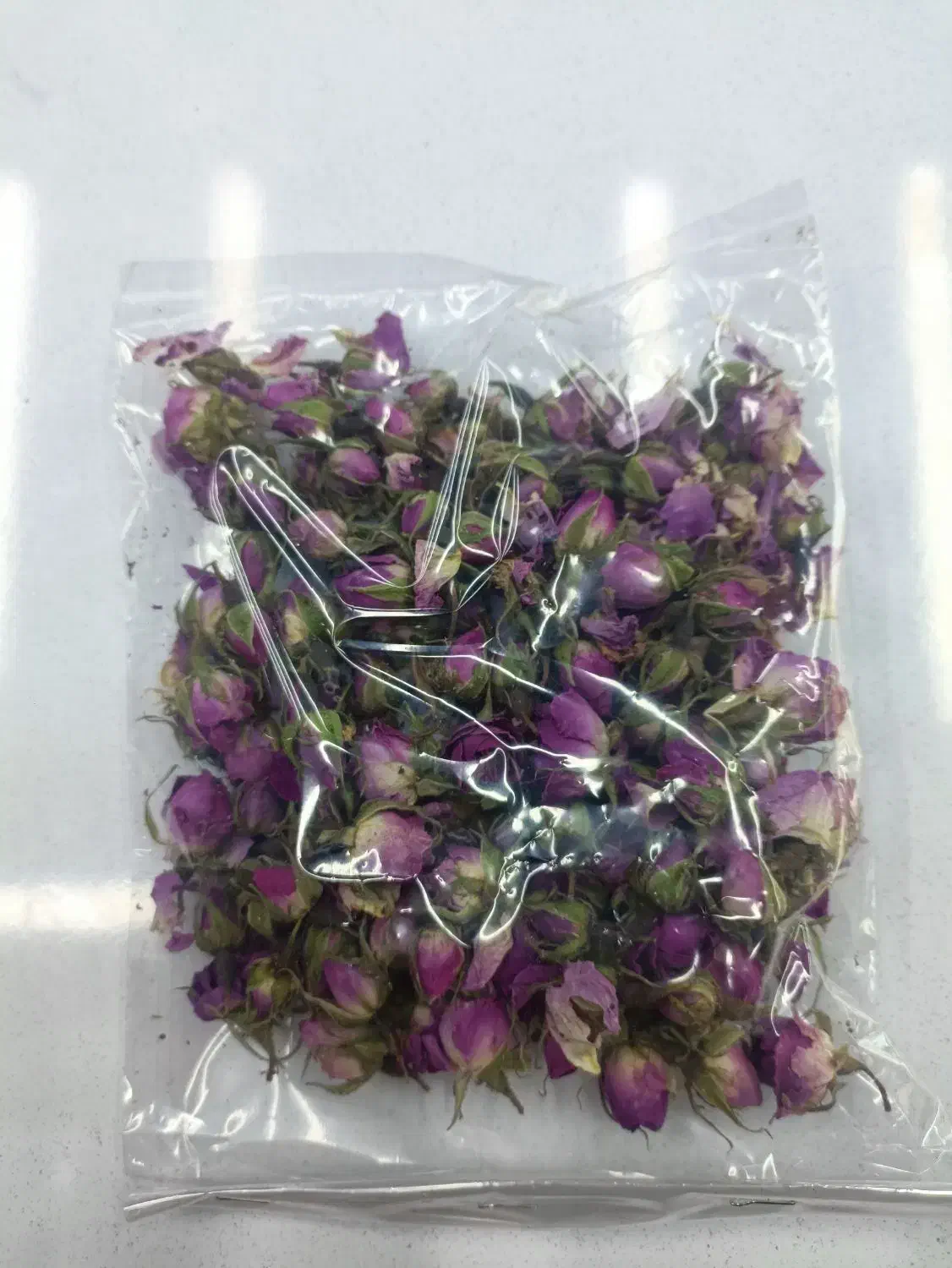 غنچه گل محمدی|گل و گیاه طبیعی|شیراز, بازار|دیوار