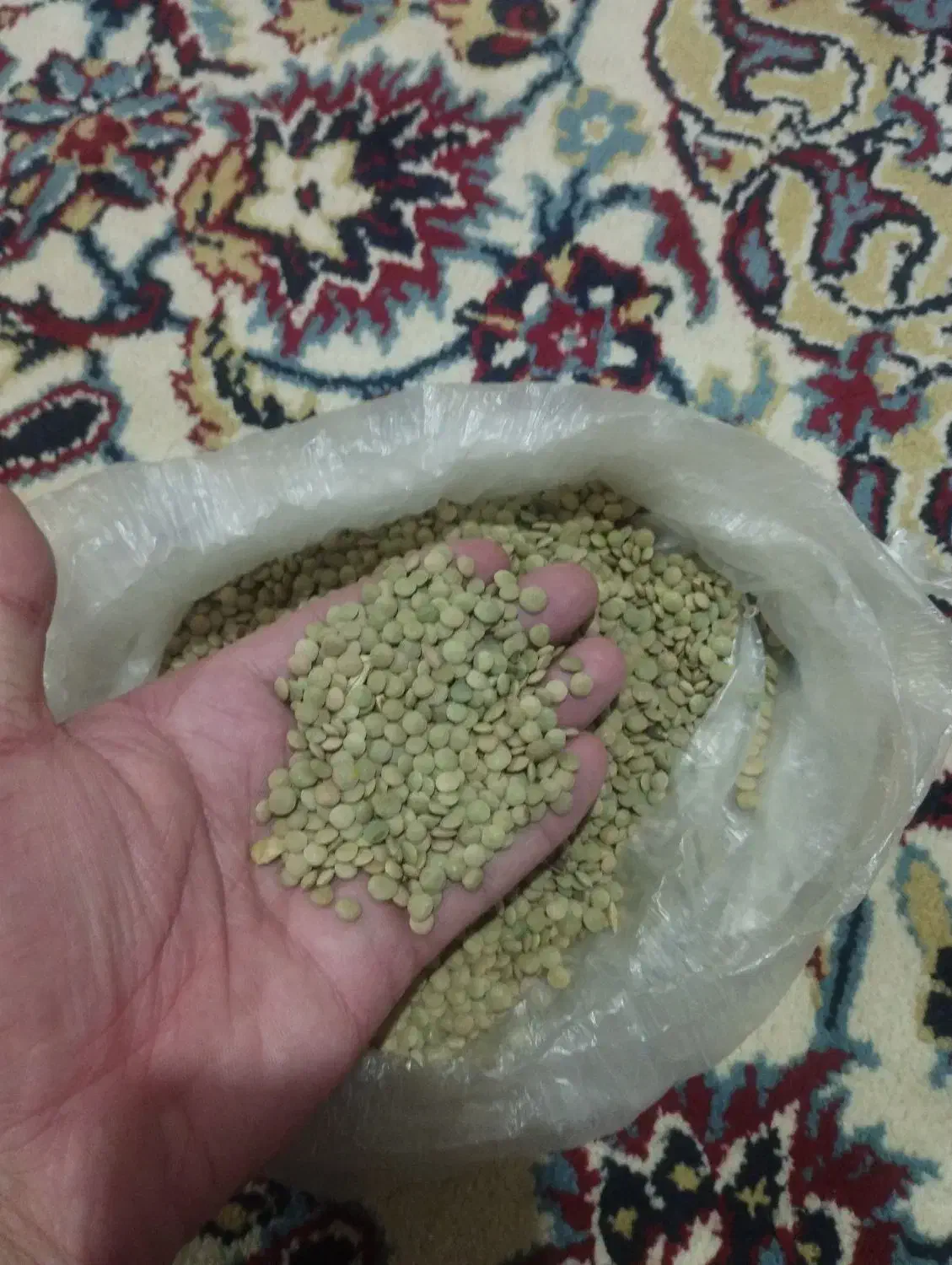 عدس درجه 1 مغان|عمدهفروشی|بیله سوار, |دیوار