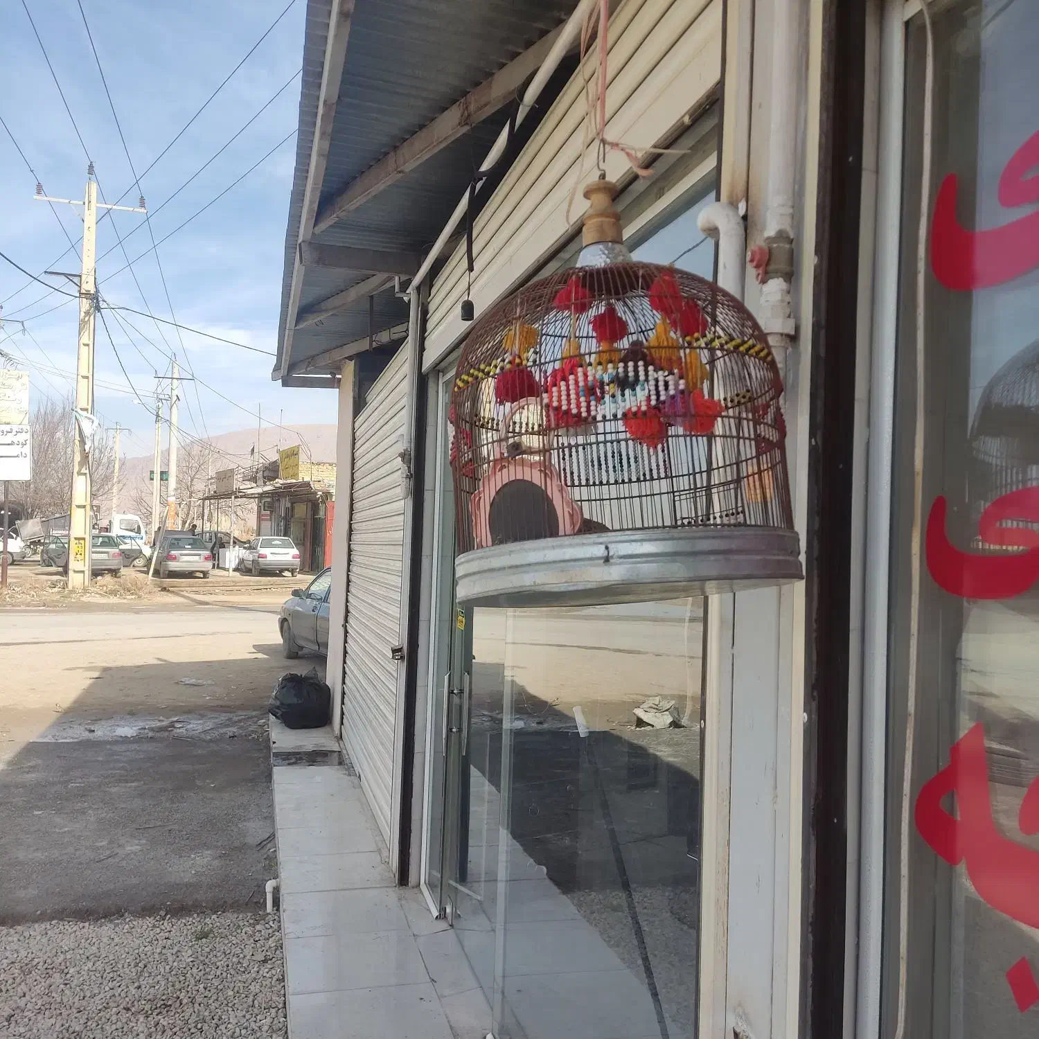 سهره خاکی|پرنده|مرودشت, رامجرد یک|دیوار