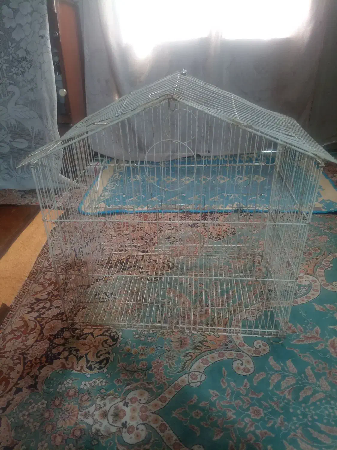 دوعددقفس پرنده. مرغ عشق قناری یاطوطی|لوازم جانبی حیوانات|بم, |دیوار