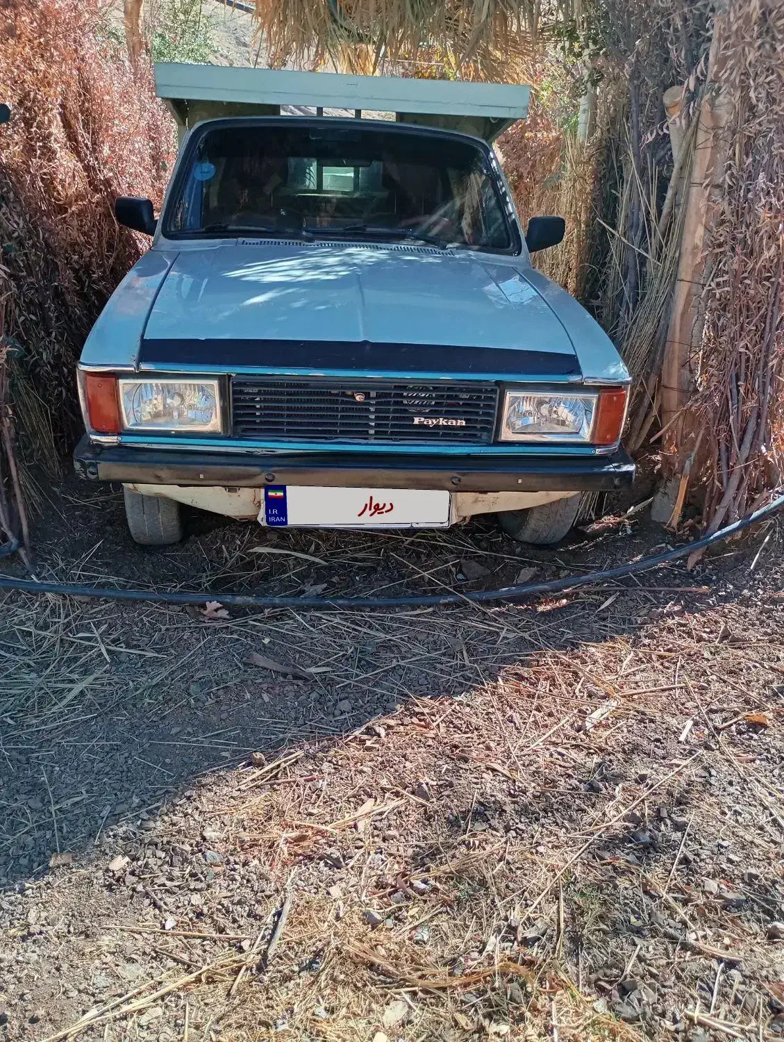 وانت پیکان|خودرو سواری و وانت|سقز, |دیوار