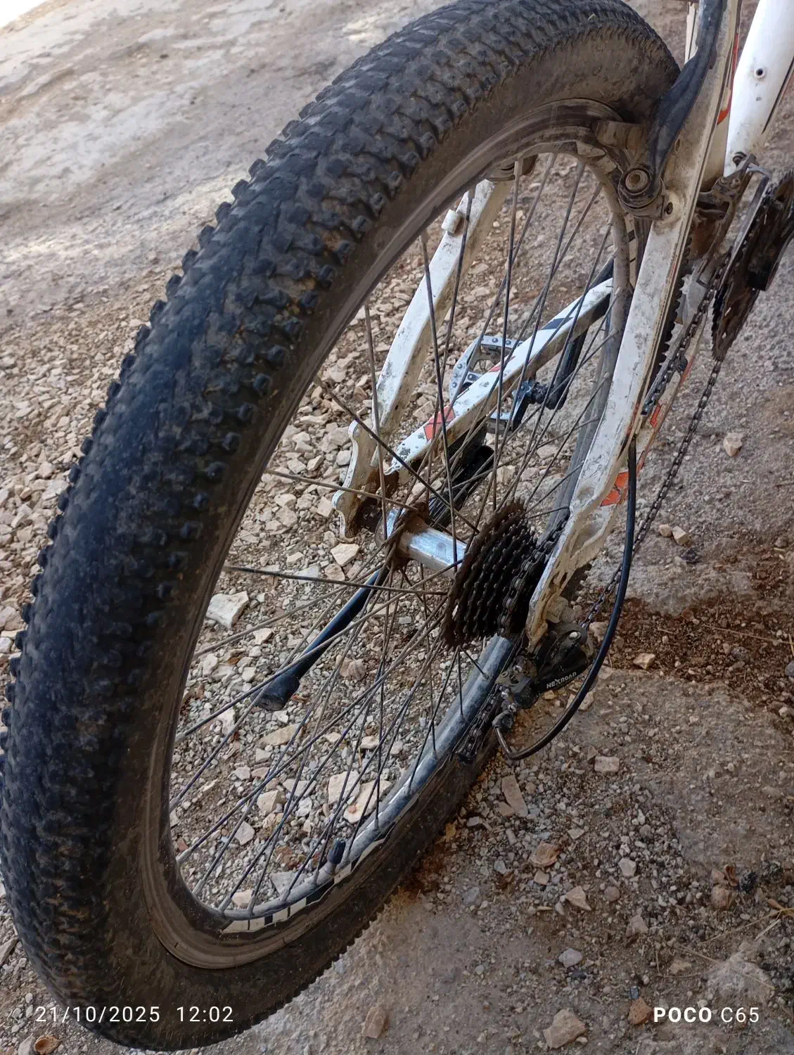 دو چرخه ۲۶|دوچرخه، اسکیت، اسکوتر|جوانرود, |دیوار