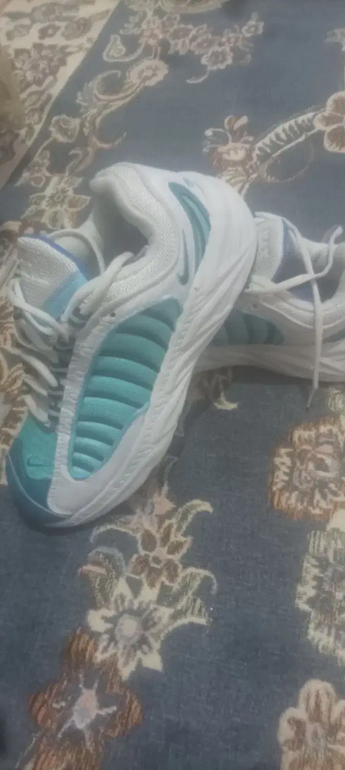 کفش|کیف، کفش، کمربند|ورامین, ورامین|دیوار