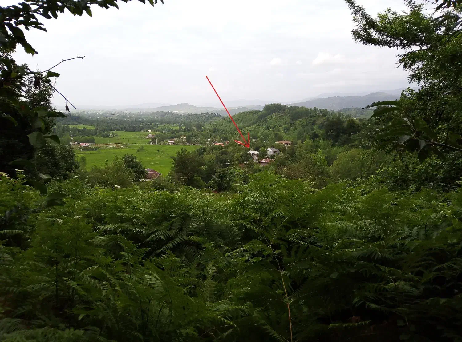 سوئیت جنگلی محرمان|اجارهٔ کوتاه‌مدت آپارتمان و سوئیت|احمدسرگوراب, |دیوار