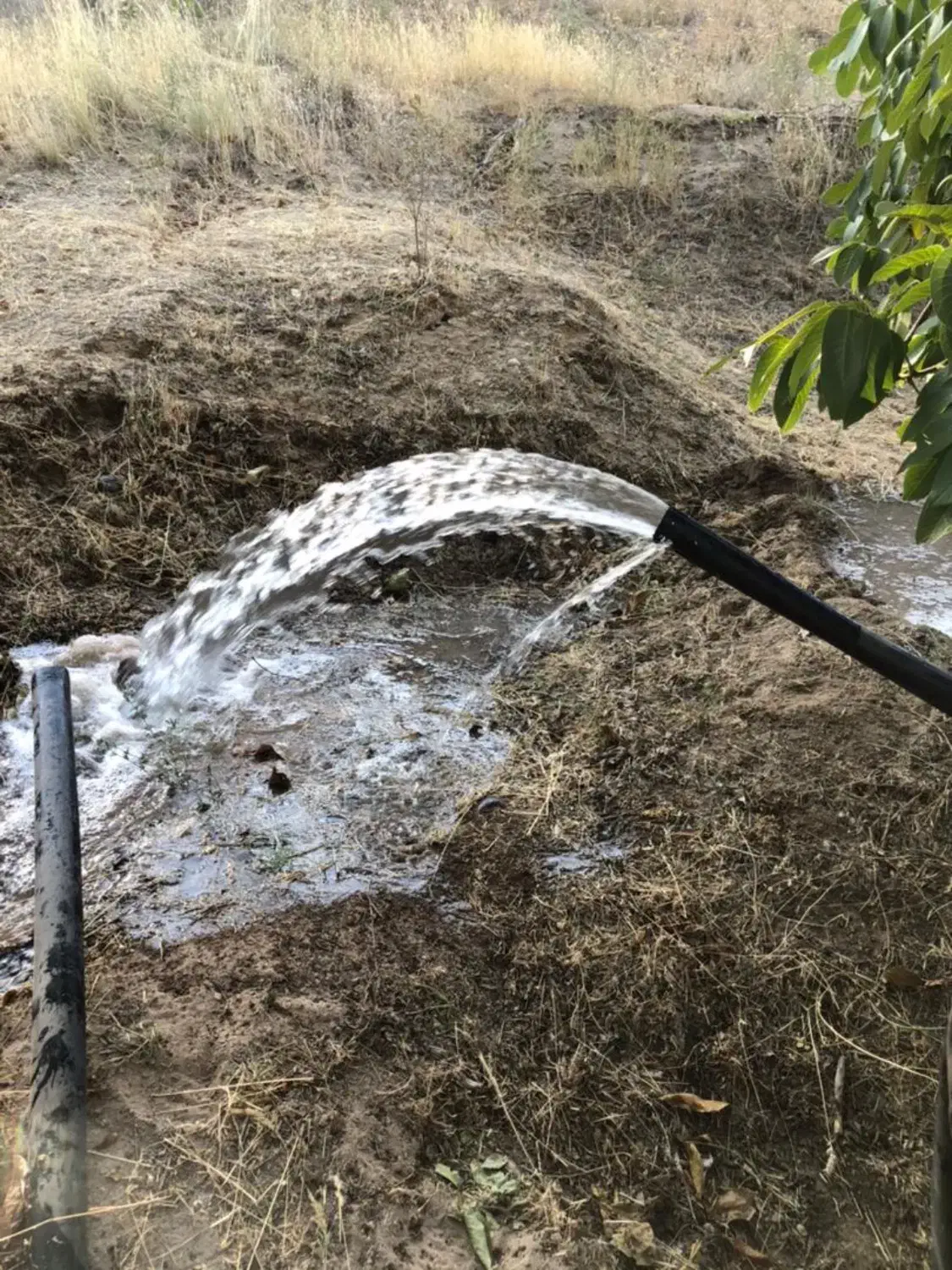 فروش دوهکتار باغ سیب و گردو و آلوچه|فروش زمین و ملک کلنگی|مراغه, |دیوار