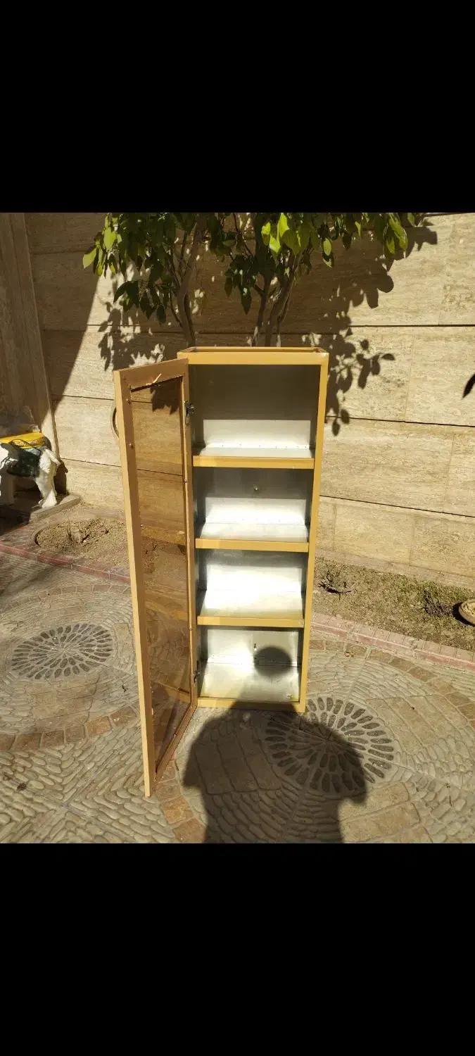 کابینت درب دار شیشه ای|جاکفشی، کمد، دراور|خرم‌آباد, |دیوار