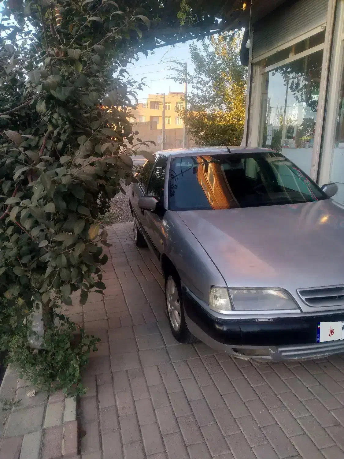 زانتیا  ۸۴ (sx۲۰۰۰)|خودرو سواری و وانت|بناب, |دیوار