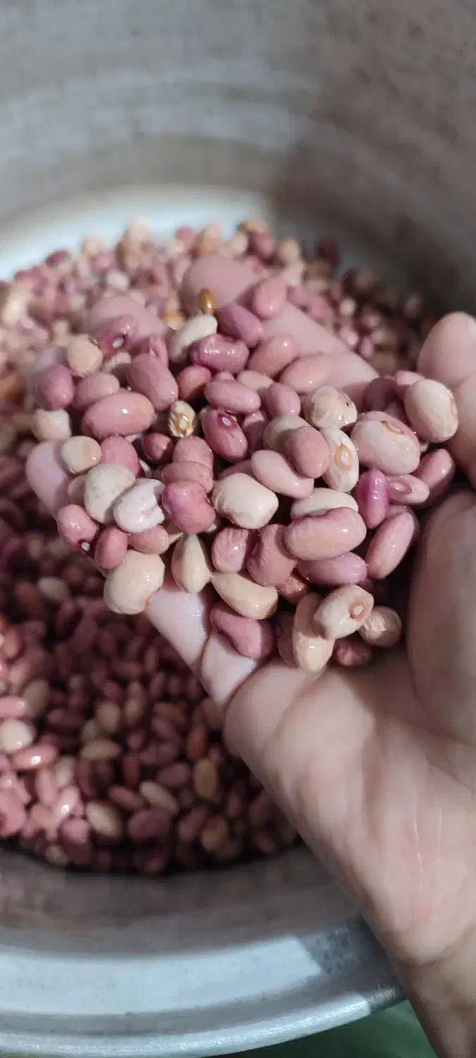 آش شیرازی|خوردنی و آشامیدنی|قم, پردیسان|دیوار