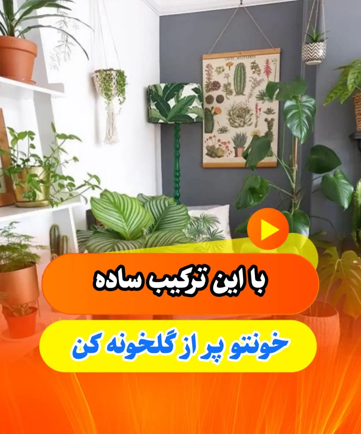 با قرص کود گلهاتو شاداب کن|گل و گیاه طبیعی|ساری, |دیوار