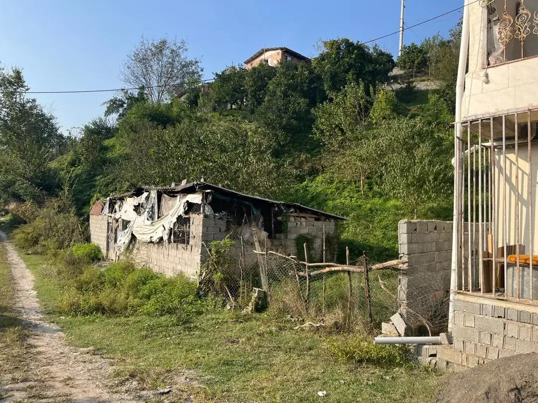 فروش زمین جنگلی در لفور|فروش زمین و ملک کلنگی|آلاشت, |دیوار