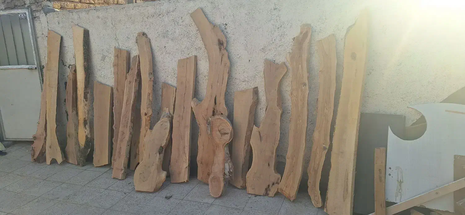 اسلپ|کتابخانه، شلف، قفسه‌های دیواری|مشهد, ابوذر|دیوار