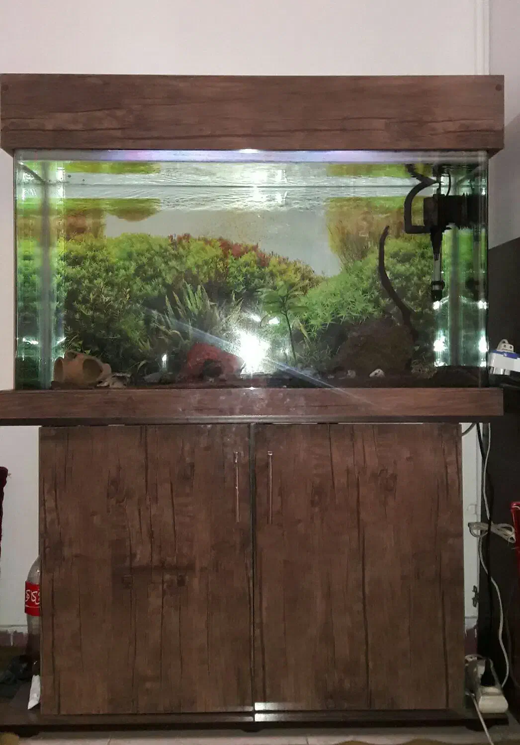 اکواریوم شیشه خم|ماهی|کرج, مصباح|دیوار