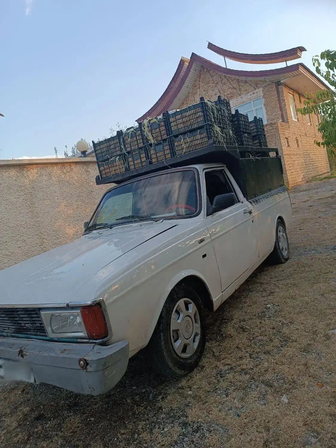 پیکان وانت|خودرو سواری و وانت|انزل, |دیوار