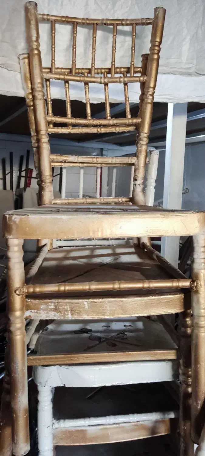 صندلی مجلسی شیواری 100عدد|صندلی و نیمکت|شیراز, بید زرد|دیوار