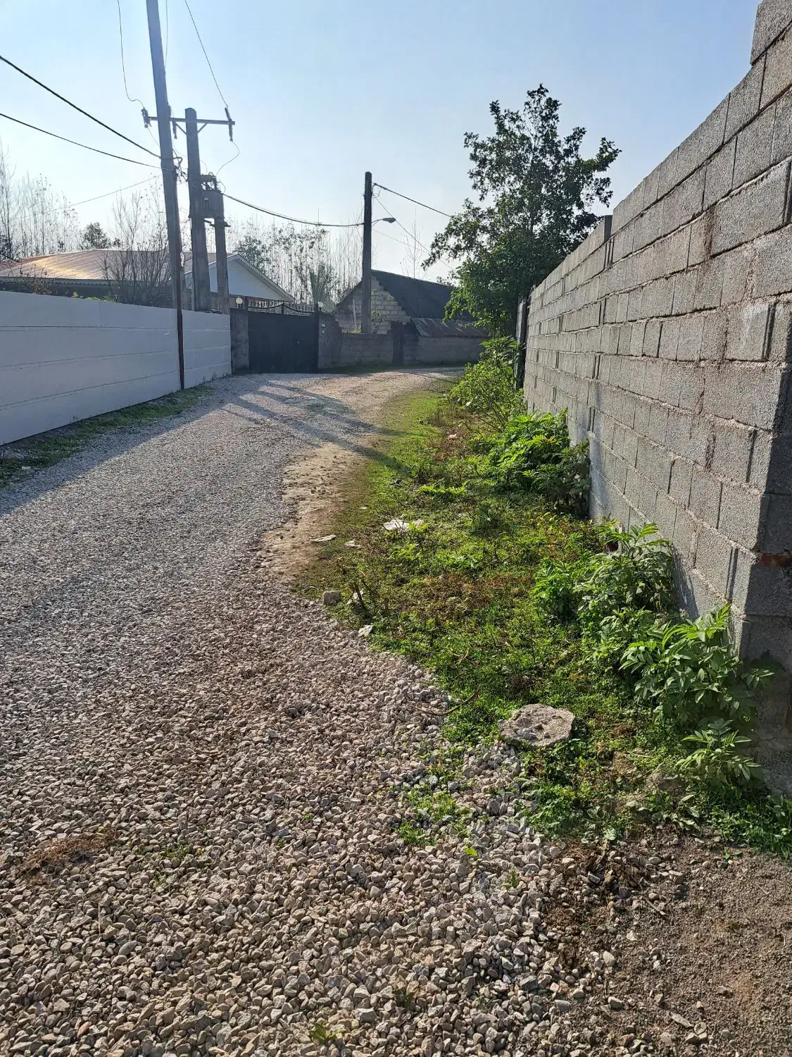 فروش زمین ۲۵۰ متری درروستای پاشکم شاندرمن|فروش زمین و ملک کلنگی|شاندرمن, |دیوار