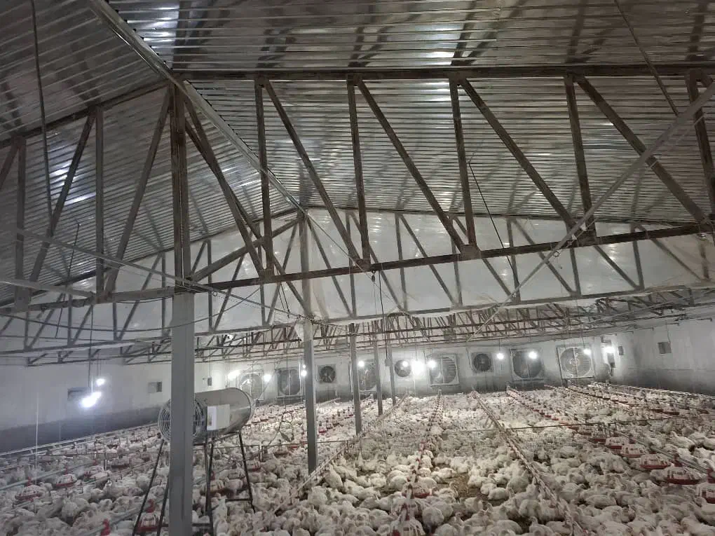 کارگر و  نگهبان|استخدام سرایداری و نظافت|کردکوی, |دیوار