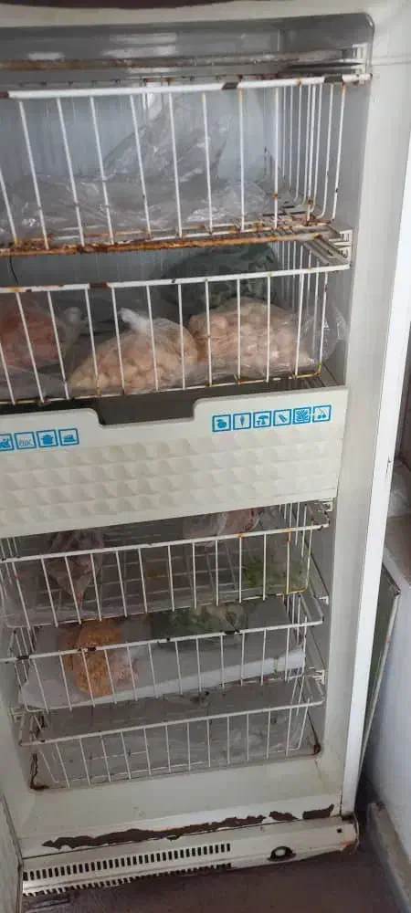 یخچال فریزر|یخچال و فریزر|کلاردشت, |دیوار