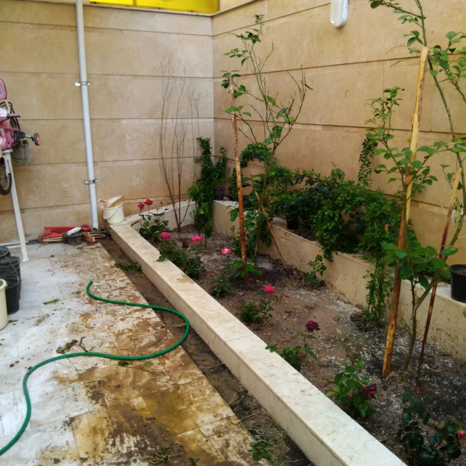 چوب بری کاشت باغچه حرس درخت|خدمات باغبانی و درختکاری|قم, زنبیل آباد|دیوار