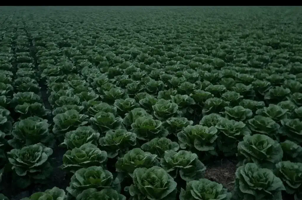 استخدام کارگر|استخدام خدمات فروشگاه و رستوران|اسلام‌شهر, شهرک مهدیه|دیوار