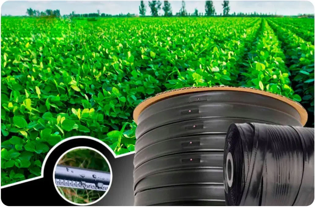 نوار تیپ(آبیاری قطره ای)|عمدهفروشی|دهگلان, |دیوار