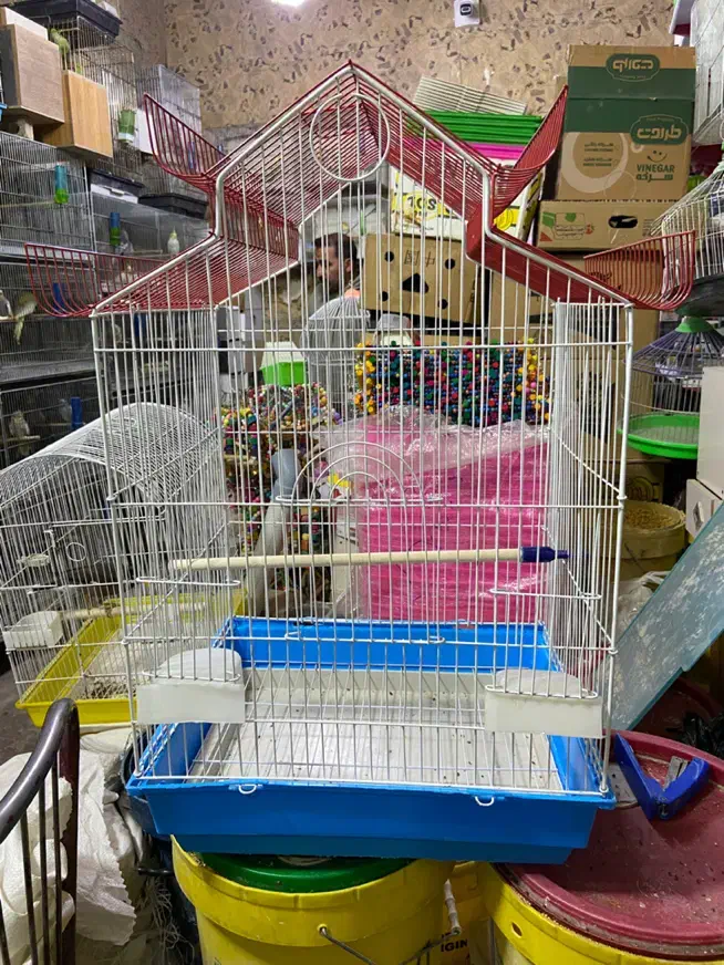 انواع قفس و ملزومات پرندگان|لوازم جانبی حیوانات|میاندوآب, |دیوار