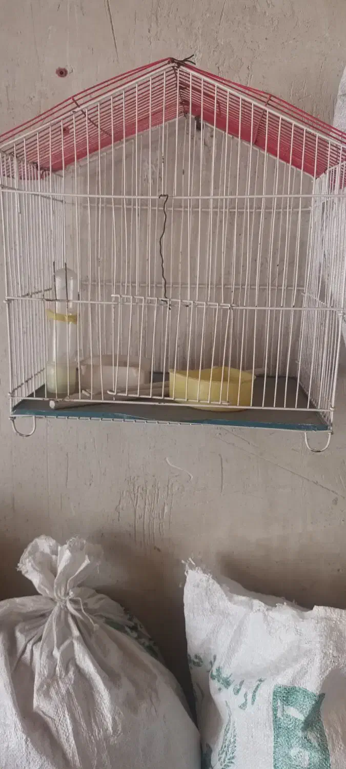 قفس عروس با وسایل آبخوری ودون خوریش|لوازم جانبی حیوانات|مرند, |دیوار