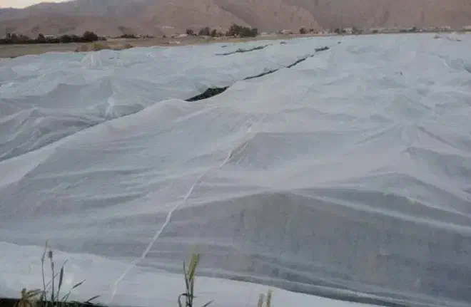 کاور کشاورزی و فوم|خدمات باغبانی و درختکاری|فیروزآباد (فارس), |دیوار