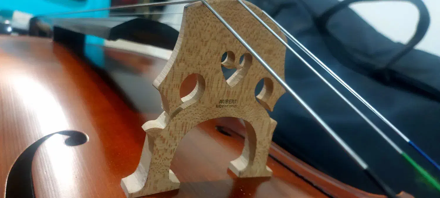 ویولنسل ۴/۴ ایستمن ۲۰۵ با متعلقات|ویولن|تهران, بریانک|دیوار