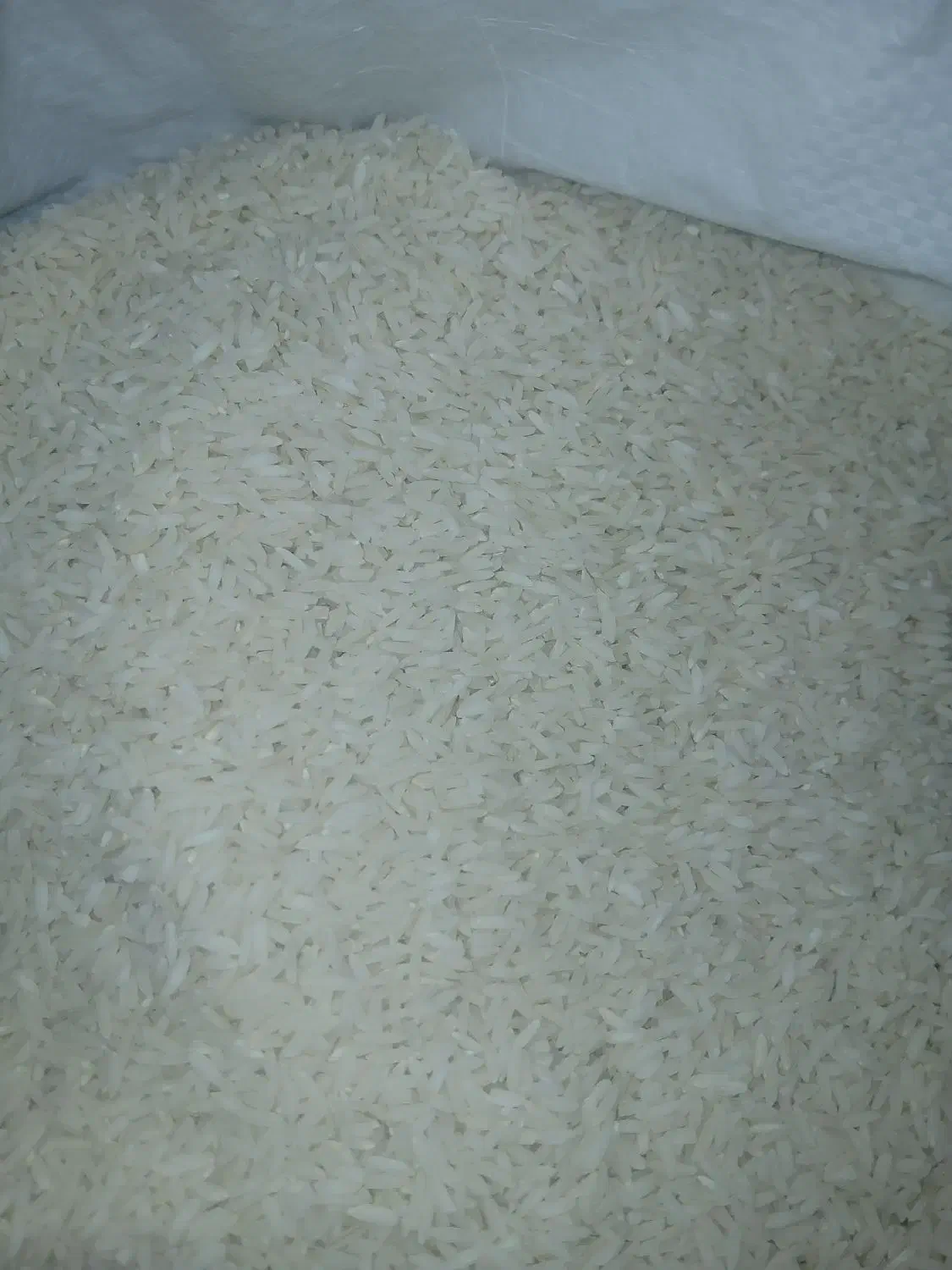 برنج طارم هاشمی|خوردنی و آشامیدنی|کوچصفهان, |دیوار