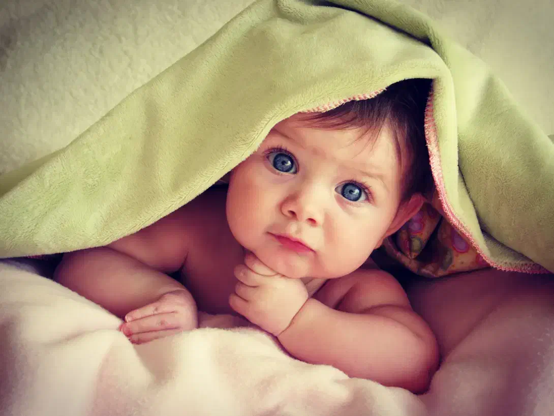 بسته بند خانم|استخدام صنعتی، فنی، مهندسی|تهران, آبشار|دیوار