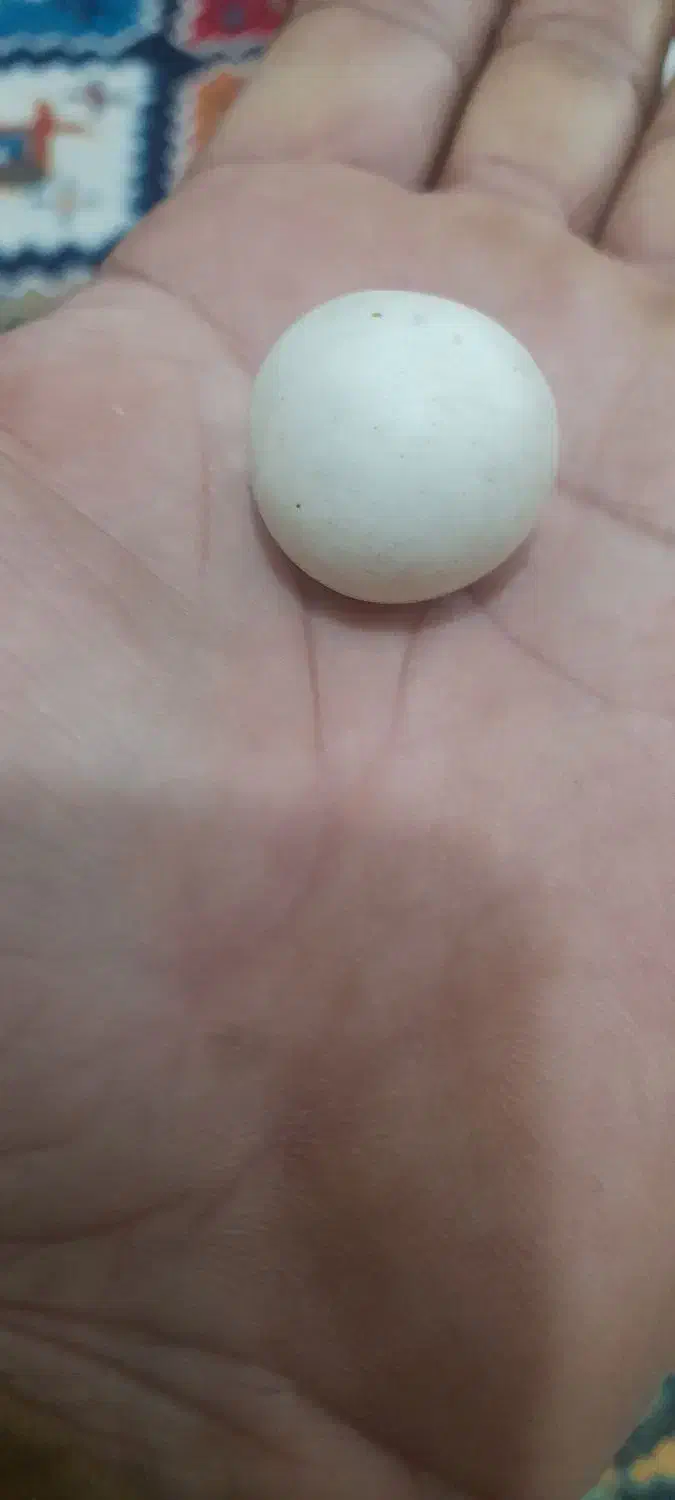 سنگ اسیاب قیمتی|جواهرات|اسلام‌شهر, کاشانک|دیوار