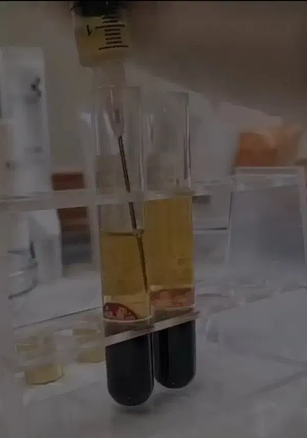 تخفیف ویژه فقط 500|خدمات آرایشگری و زیبایی|ایذه, |دیوار