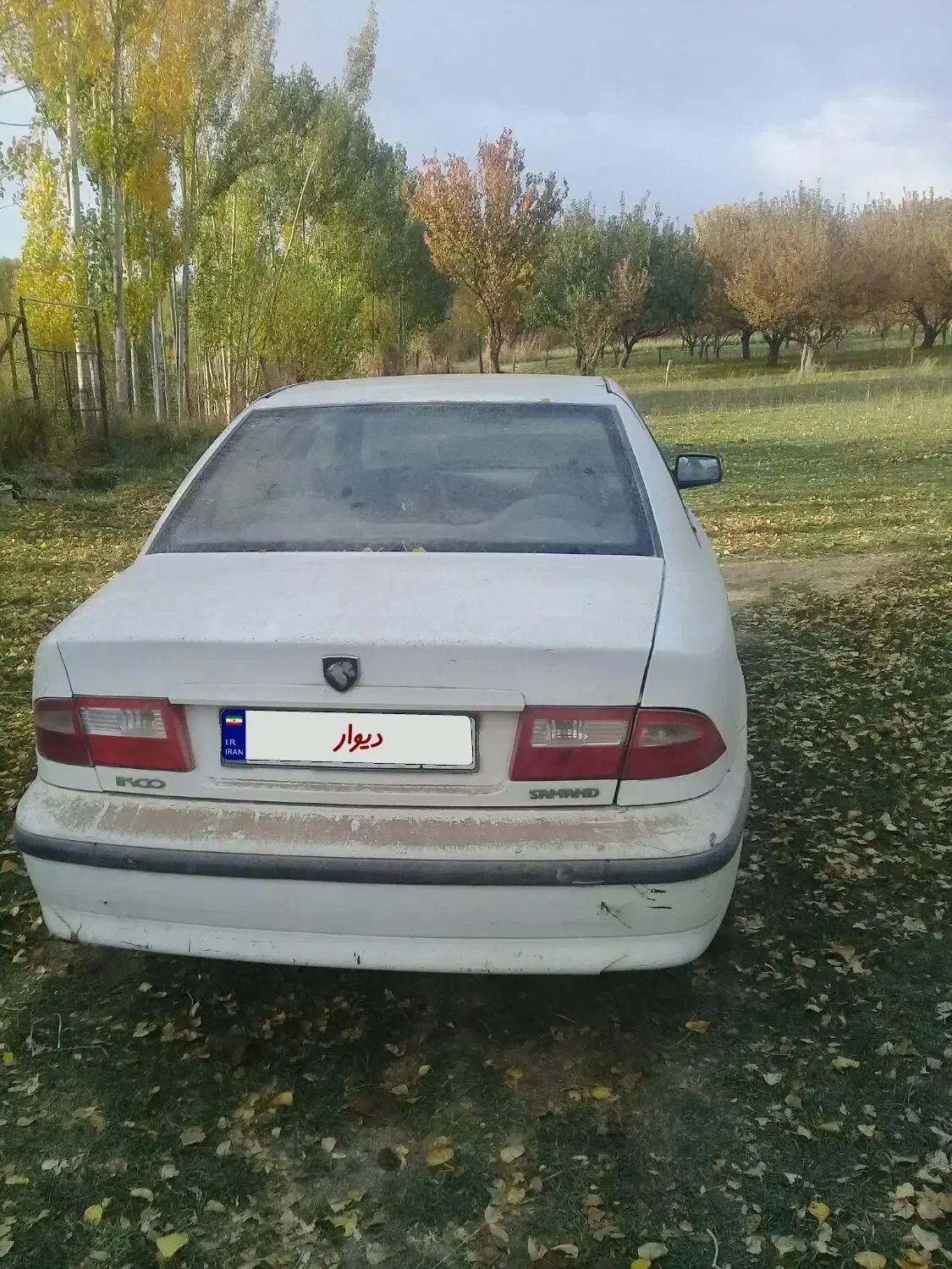 سمند مدل نود|خودرو سواری و وانت|میانه, |دیوار