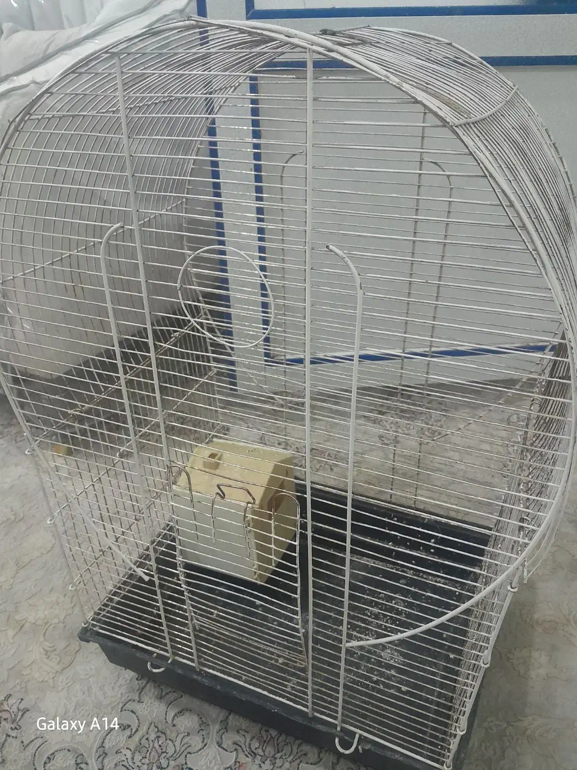 قفس|لوازم جانبی حیوانات|قم, ولیعصر|دیوار